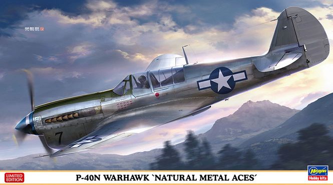 Huvudbild 1/48 P40N Warhawk Natural Metal aces
